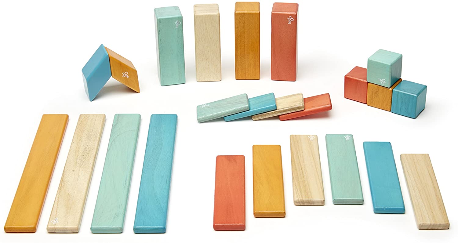 Tegu 24-Piece Set Magnetic Wooden Blocks Classics