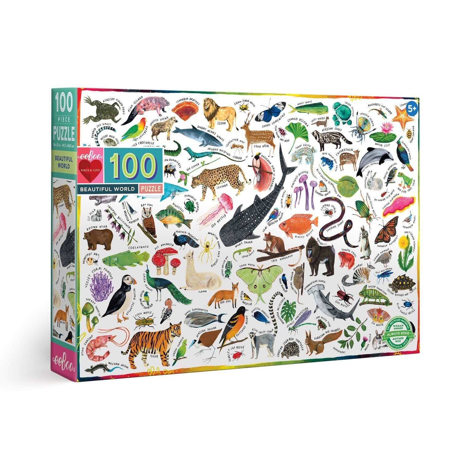 eeBoo - Piece and Love A Beautiful World 100 Piece Rectangle image of box