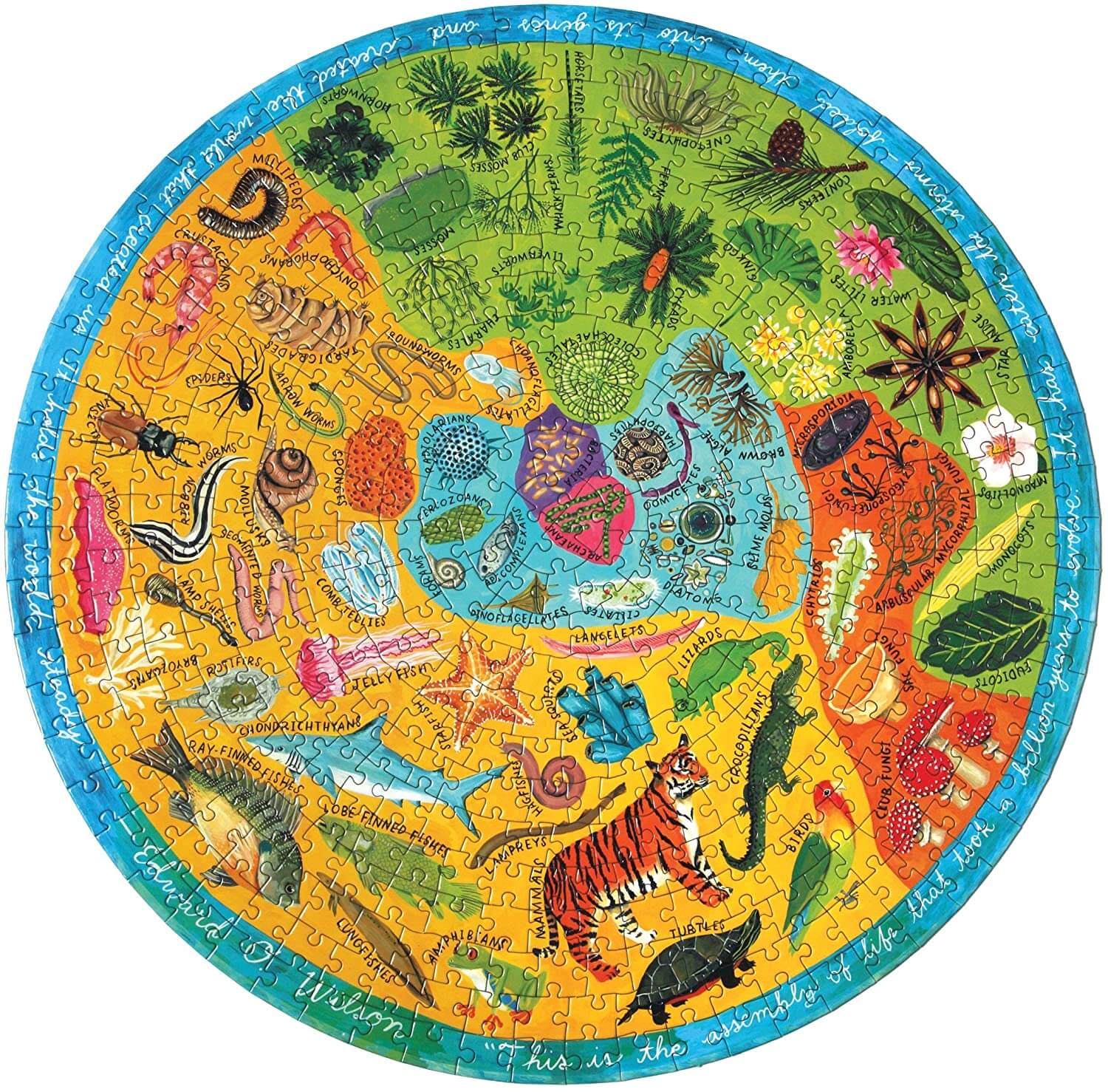 eeBoo's Piece and Love Biodiversity 500 Piece adult Round Jigsaw Puzzle photo of finished puzzle